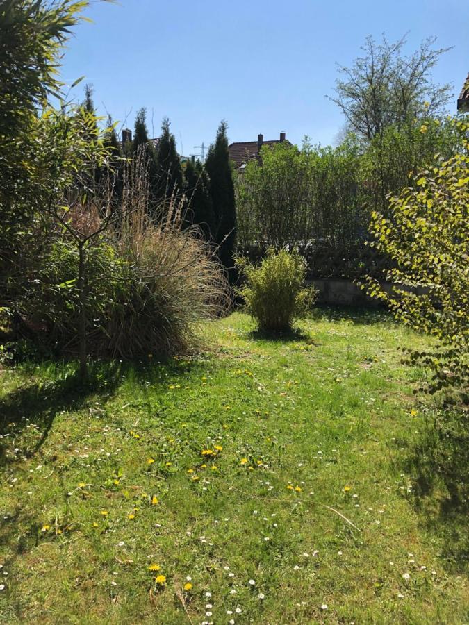 Sieben-Berge-Ferienwohnungen Alfeld  Eksteriør bilde